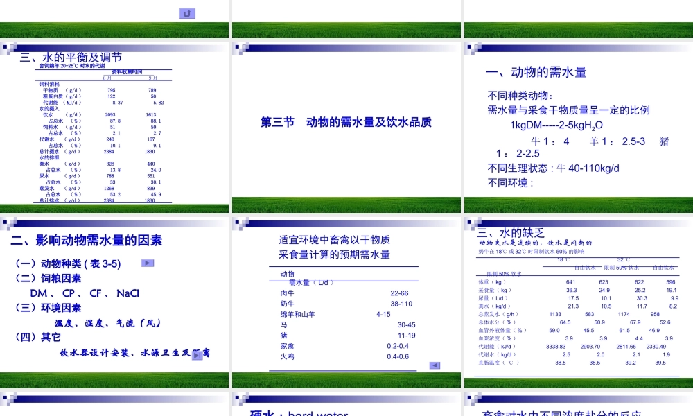 第二章 水与动物营养