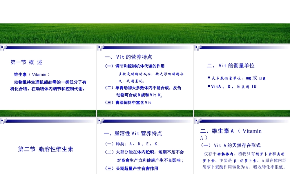 第八章维生素与动物营养