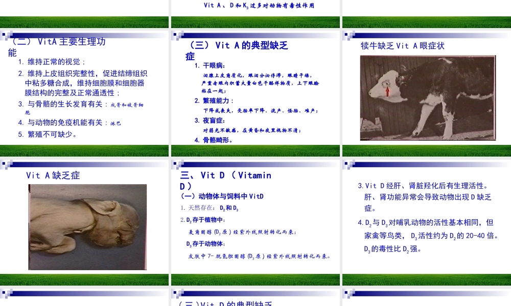 第八章维生素与动物营养