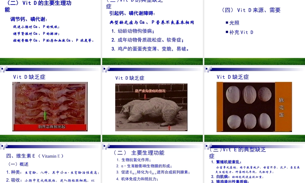 第八章维生素与动物营养