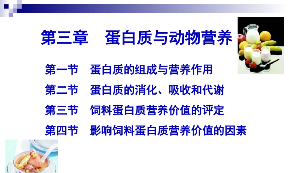 蛋白质与动物营养