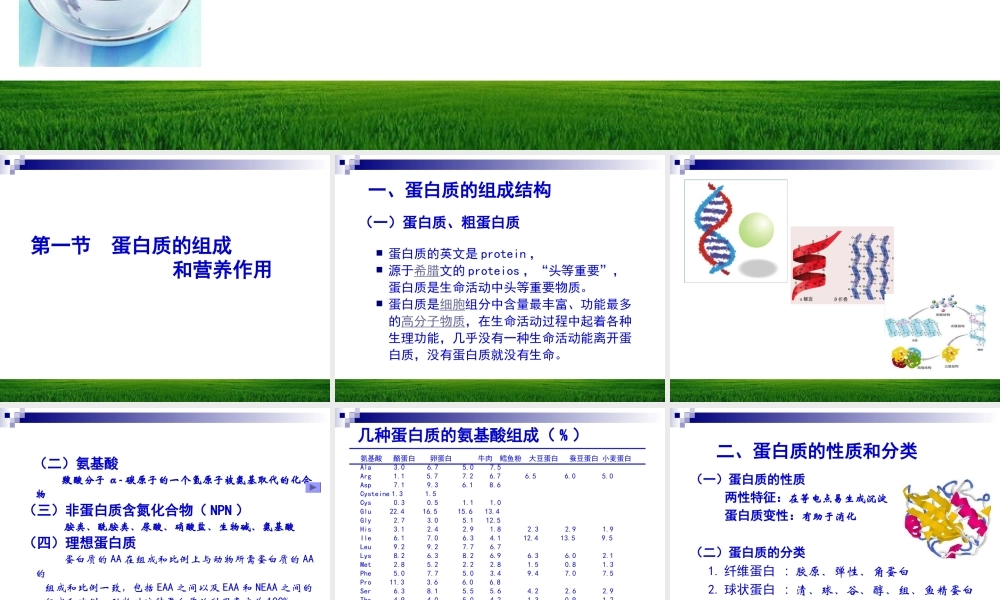 蛋白质与动物营养