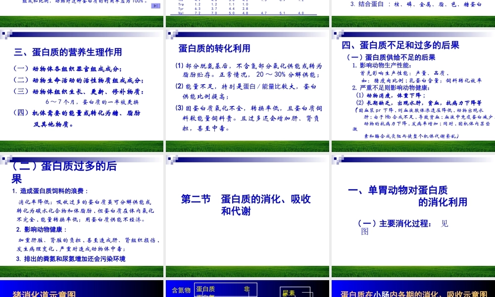 蛋白质与动物营养