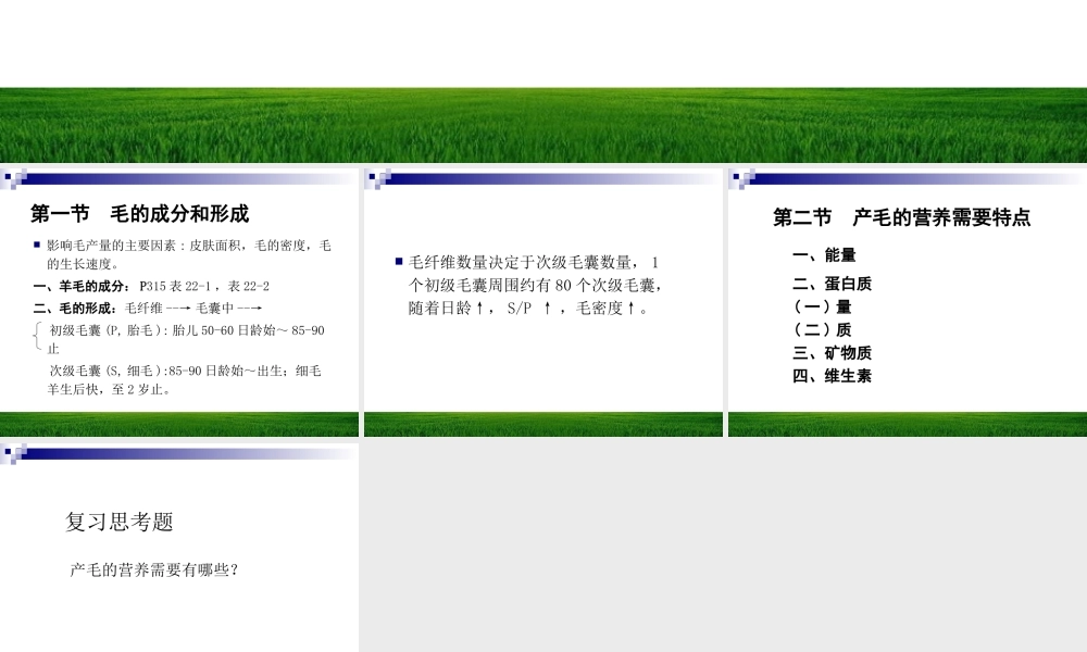 产毛的营养需要