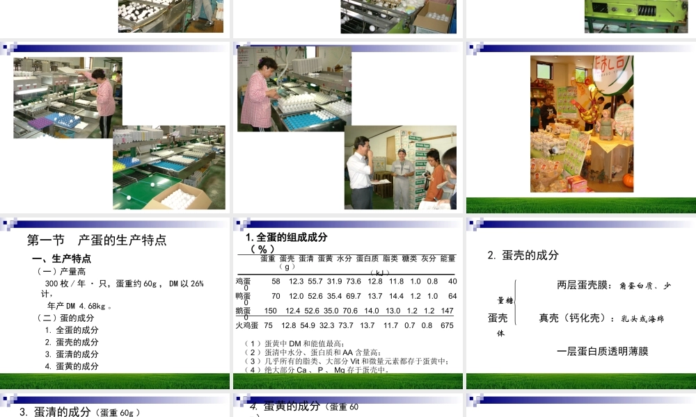 产蛋的营养需要