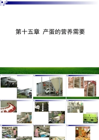 第十五章 产蛋的营养需要