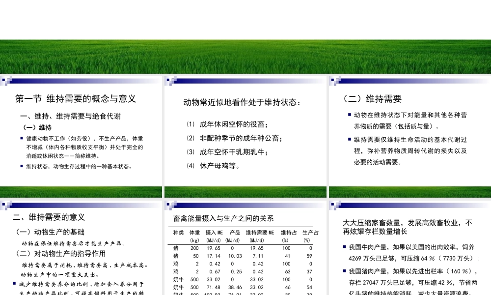 第十一章 动物维持营养需要