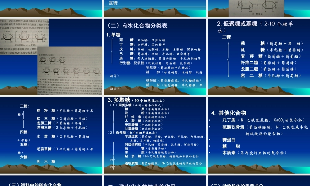 第四章 碳水化合物与动物营养