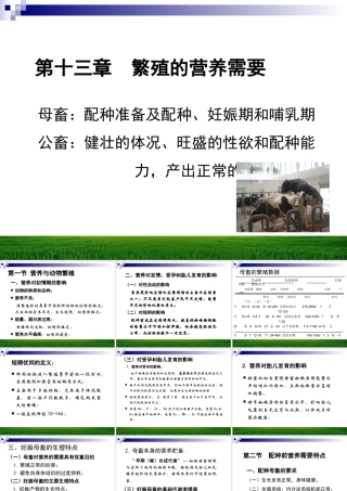 繁殖的营养需要