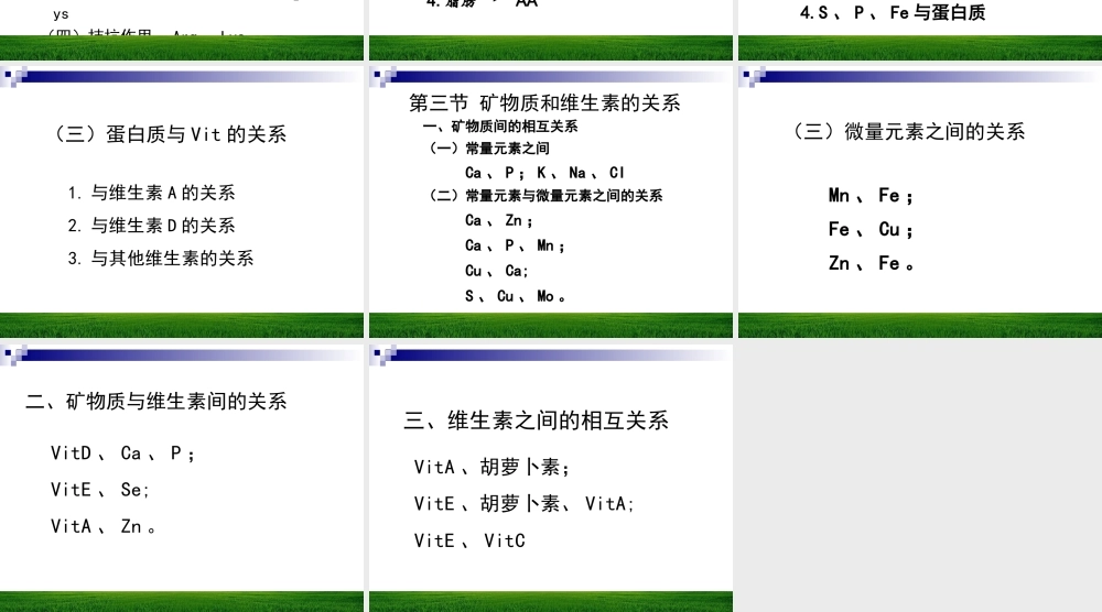 各类营养物之间的相互关系
