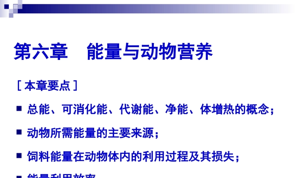 能量与动物营养