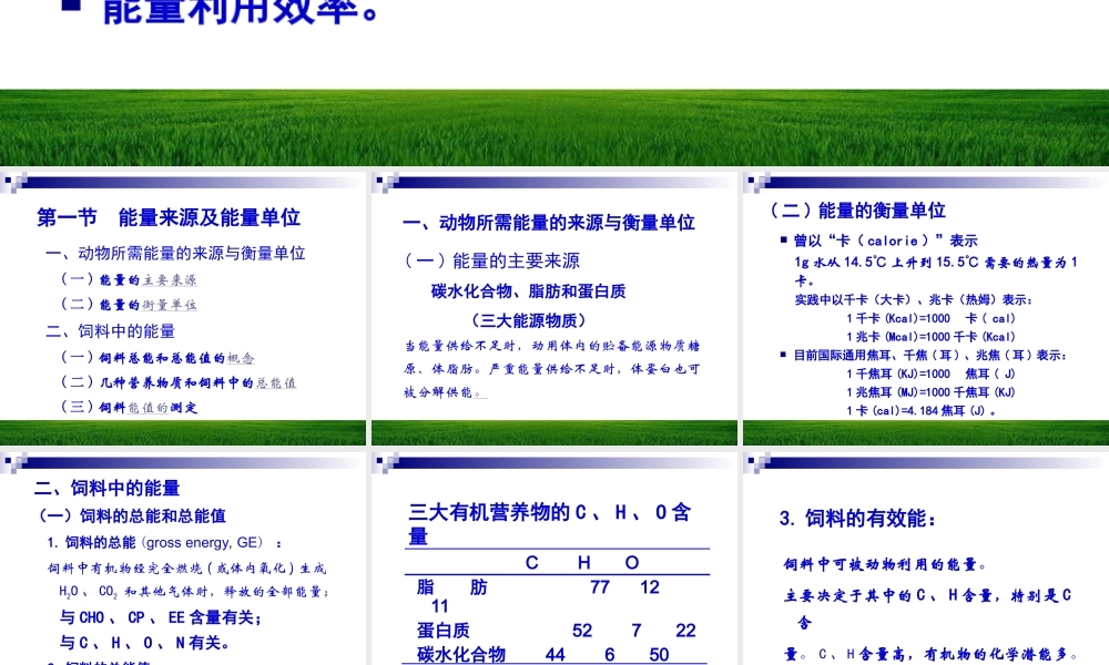 能量与动物营养