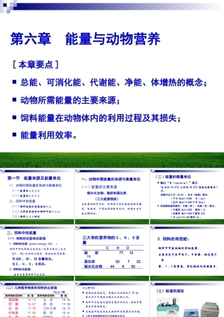 能量与动物营养