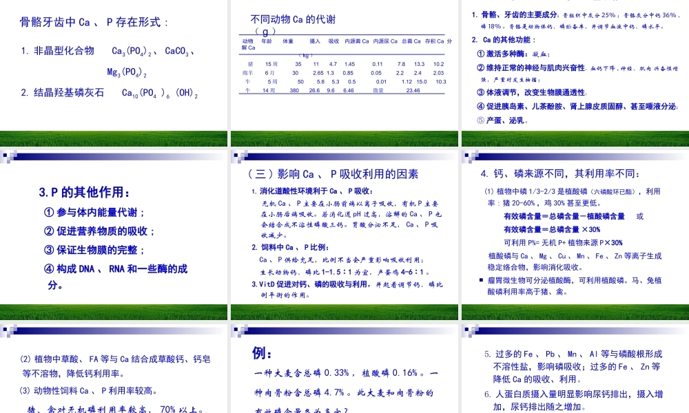 矿物元素与动物营养