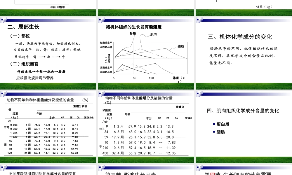 生长肥育的营养需要