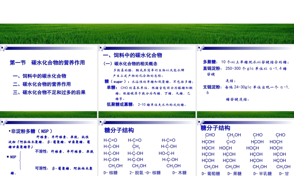 碳水化合物与动物营养