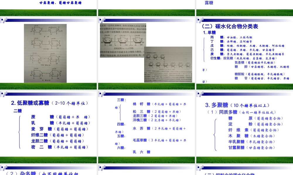 碳水化合物与动物营养