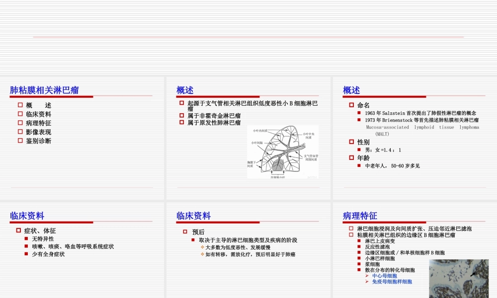 肺MALT淋巴瘤课件