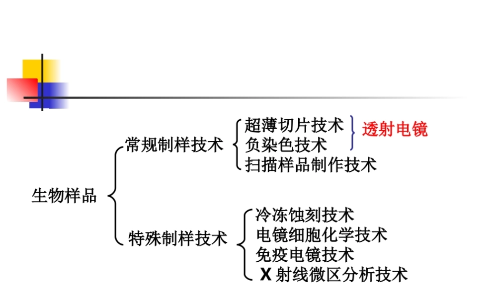 4生物样品超薄切片技术