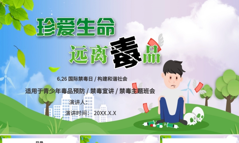 国际禁毒日课件完整