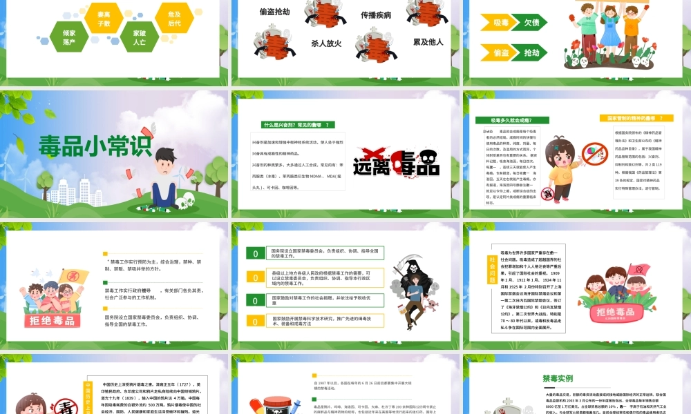 国际禁毒日课件完整