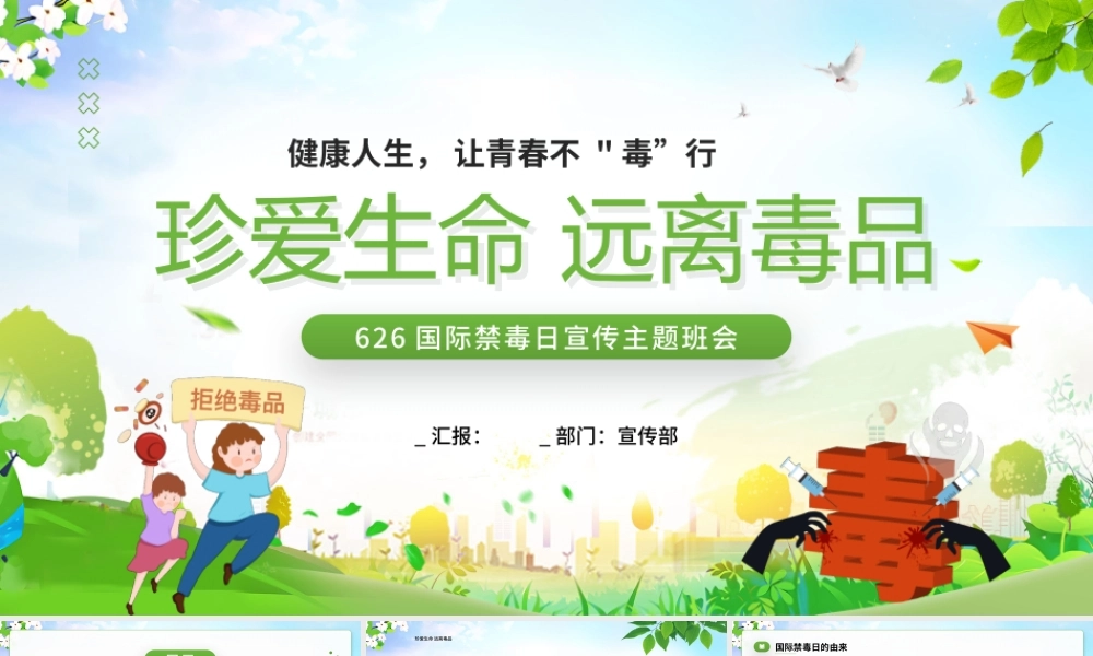 国际禁毒日宣传主题班会完整
