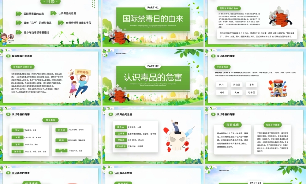 国际禁毒日宣传主题班会完整