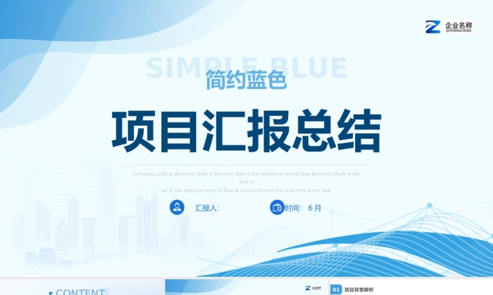 项目汇报总结完整