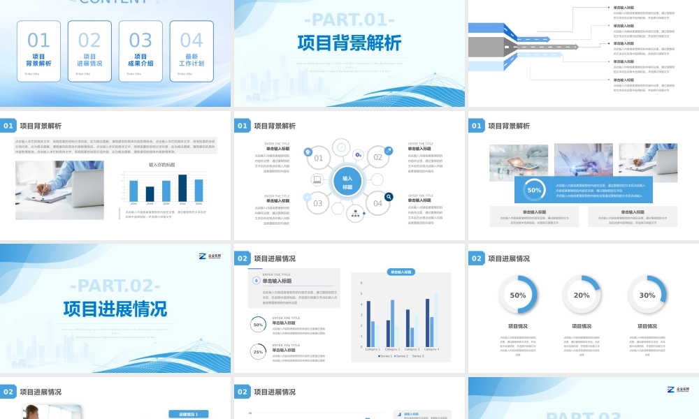 项目汇报总结完整