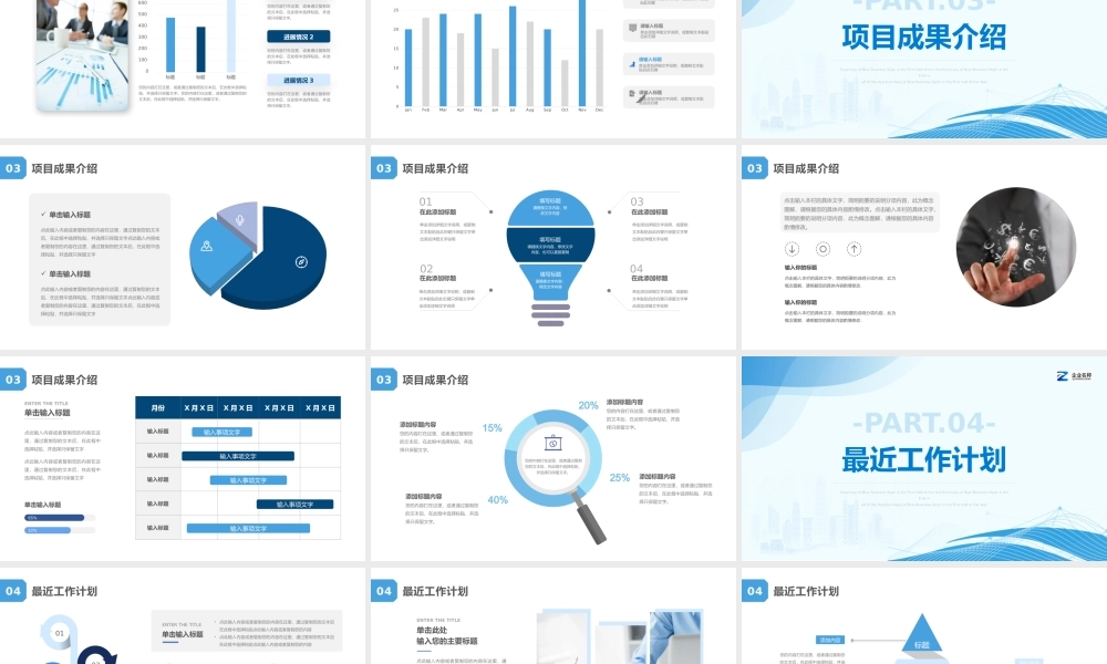 项目汇报总结完整