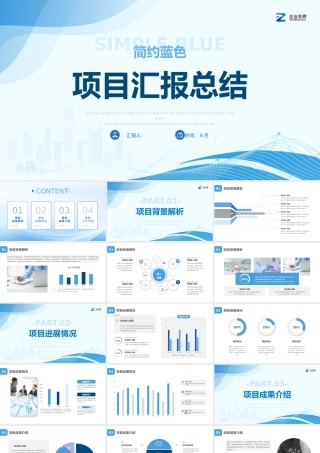 项目汇报总结完整