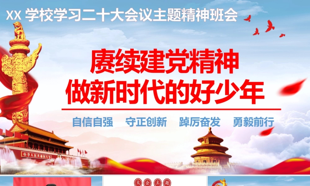 XX学校学习二十大会议主题精神班会