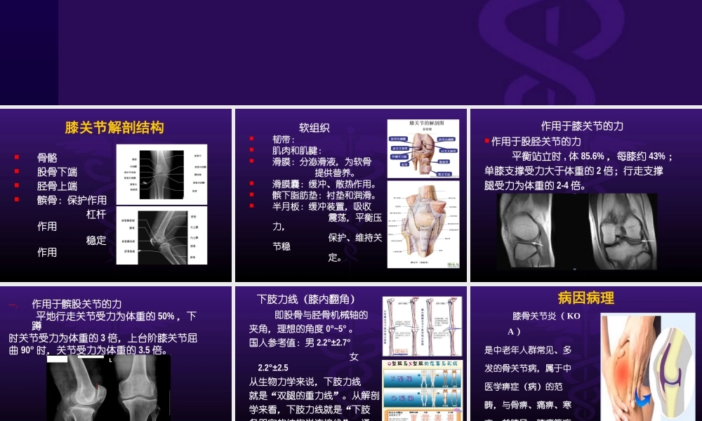 膝关节骨性关节炎健康教育讲座课件