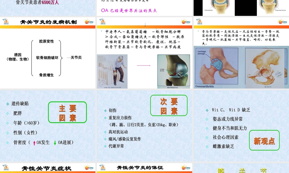 老年骨关节炎的治疗以及骨质疏松性骨折的预防