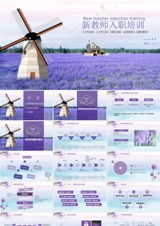 教师入职培训模板