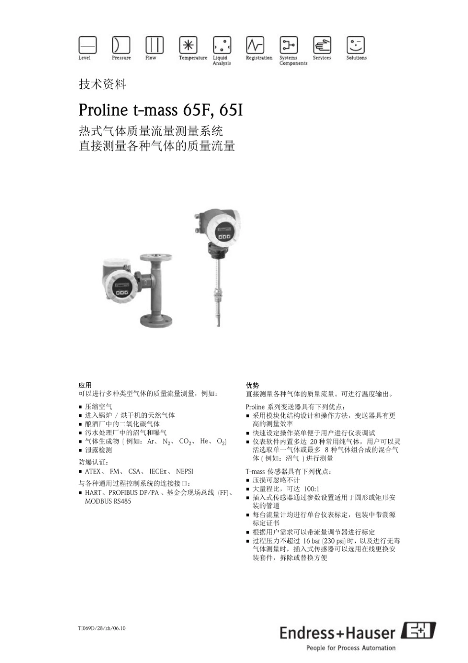 E H热式气体流量计 t-mass 65F_第1页