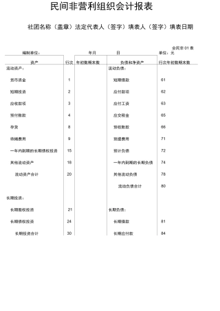 民间非营利组织会计报表