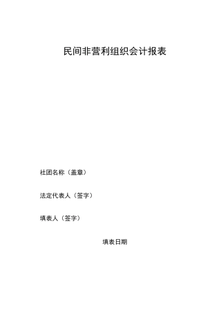 民间非营利组织会计报表模板