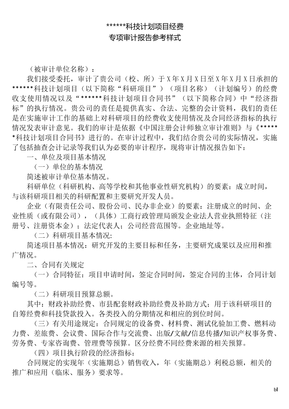 科技计划项目经费专项审计报告格式_第1页