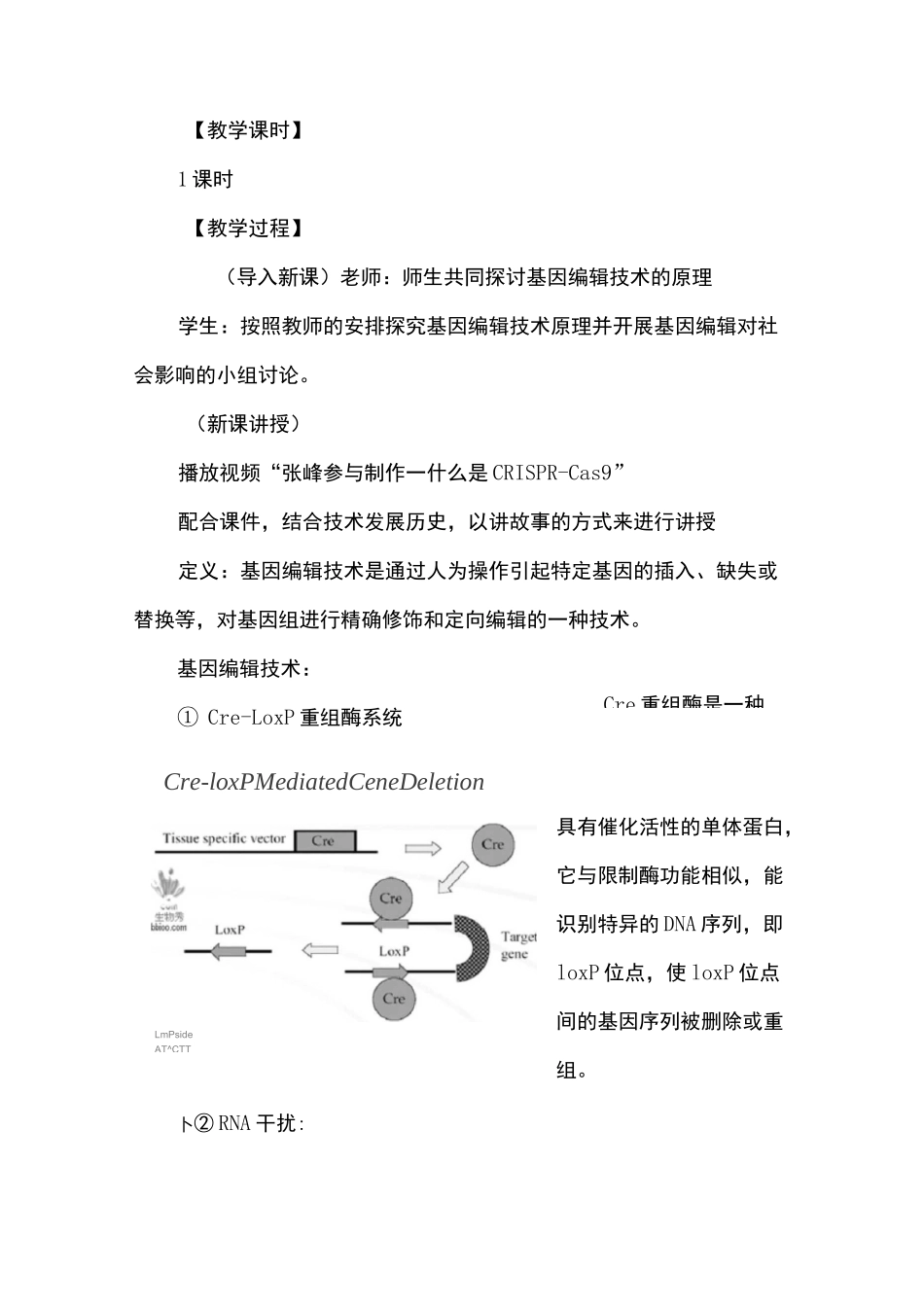 教案-基因编辑技术_第2页