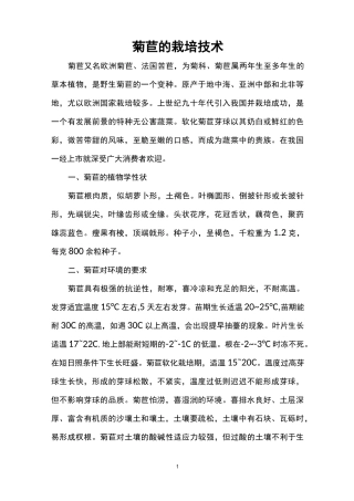 菊苣的栽培技术