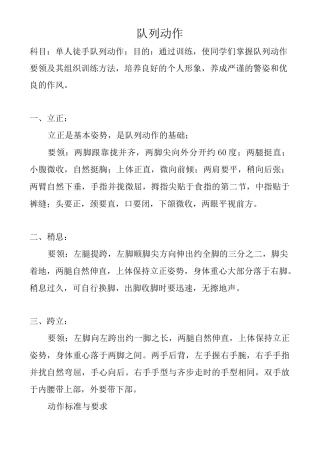 单个军人队列动作