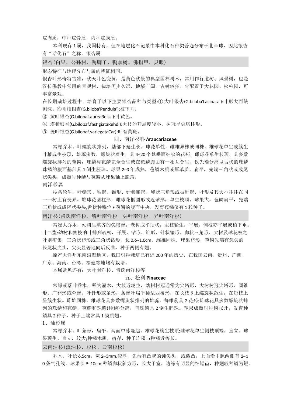 园林树木学  各论  裸子植物_第2页