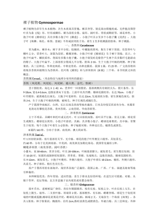 园林树木学  各论  裸子植物