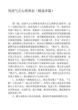 风清气正心得体会(精选多篇)