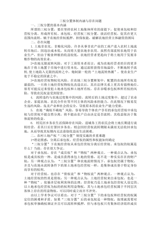 三权分置体制内涵与存在问题