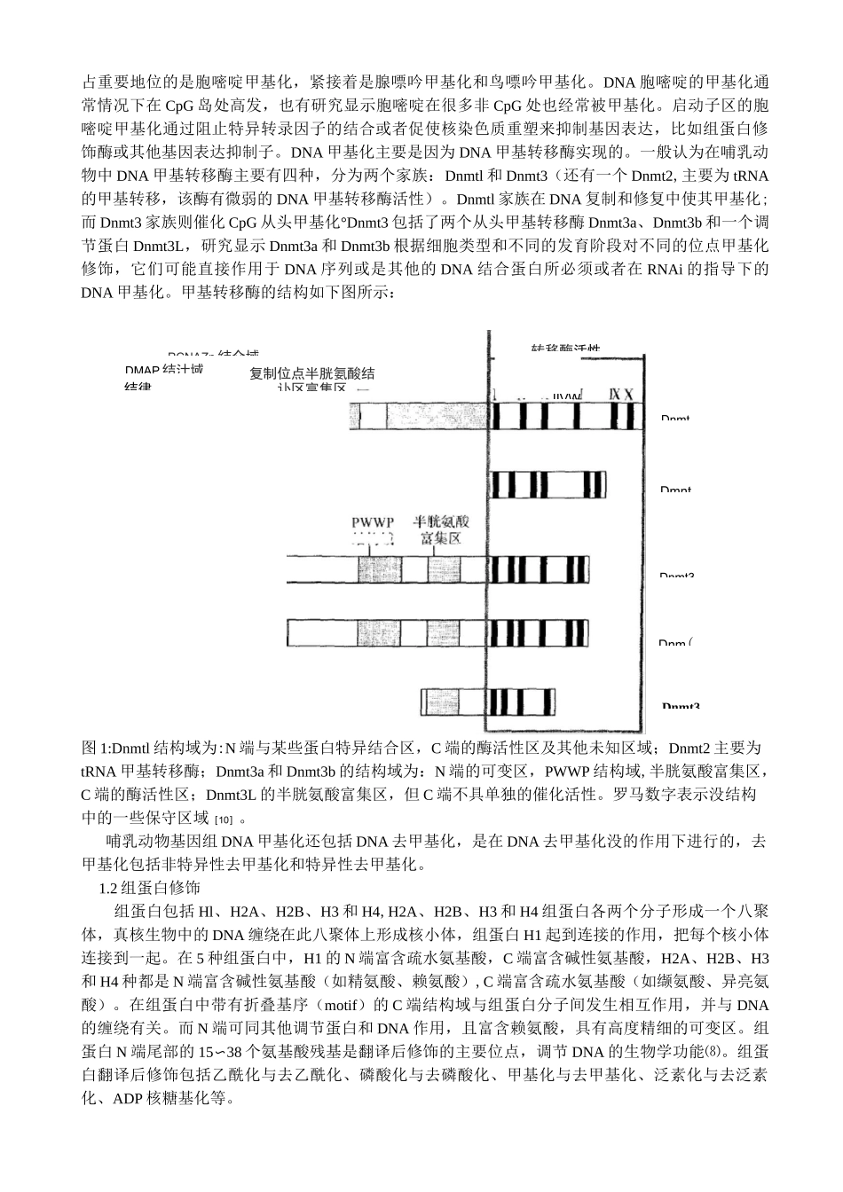 表观遗传学及疾病_第2页