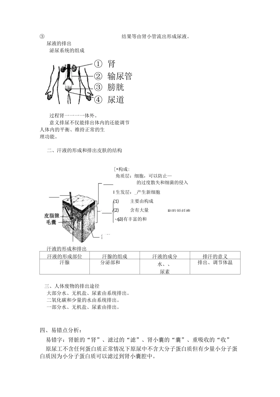 人体内代谢废物的排出_第2页
