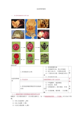 抗恶性肿瘤药
