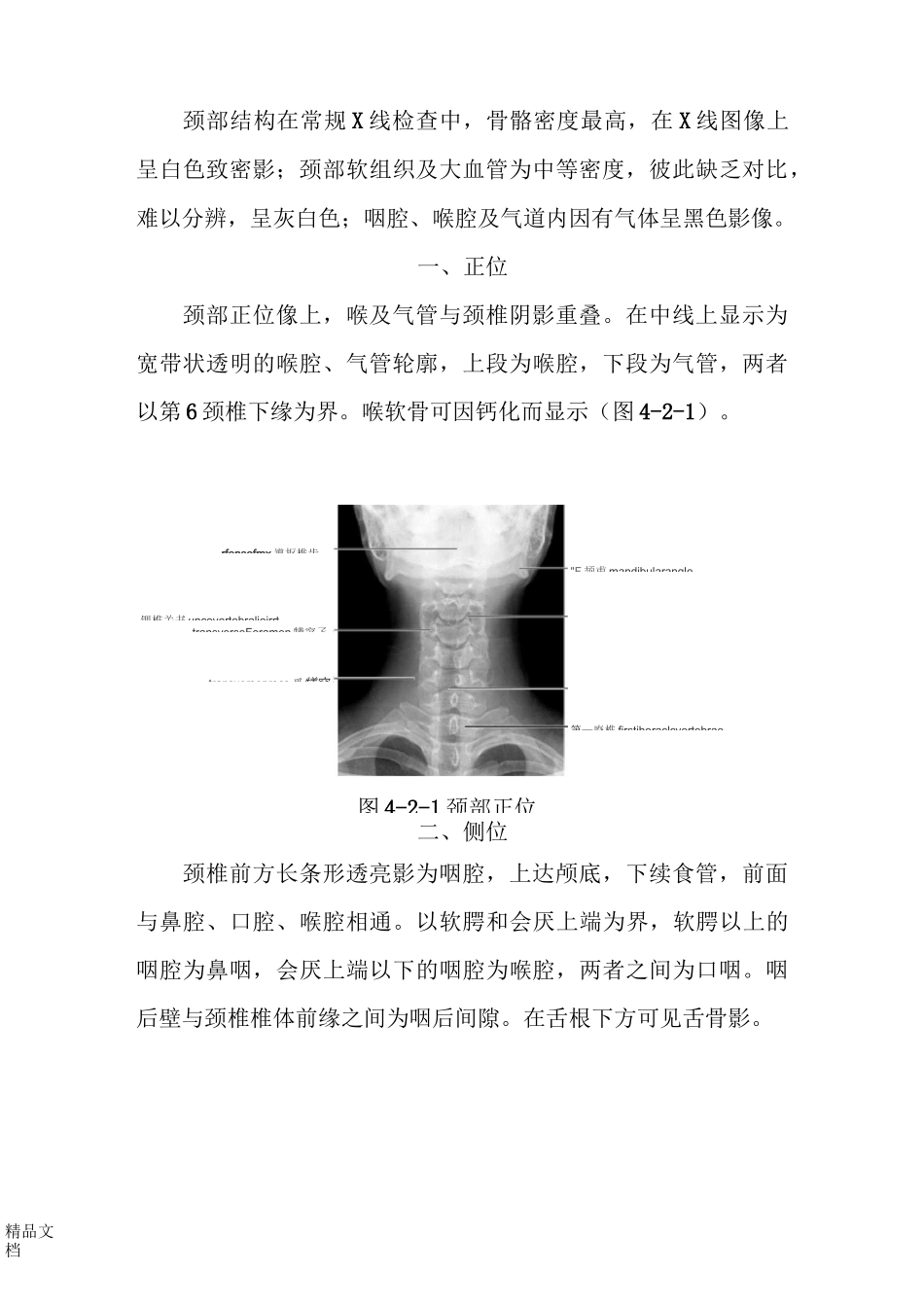 颈部影像解剖_第2页